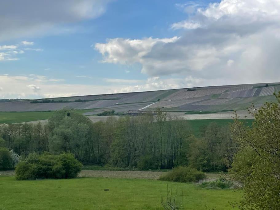 Maison D'Hotes Baslieux-sous-Châtillon Kültér fotó