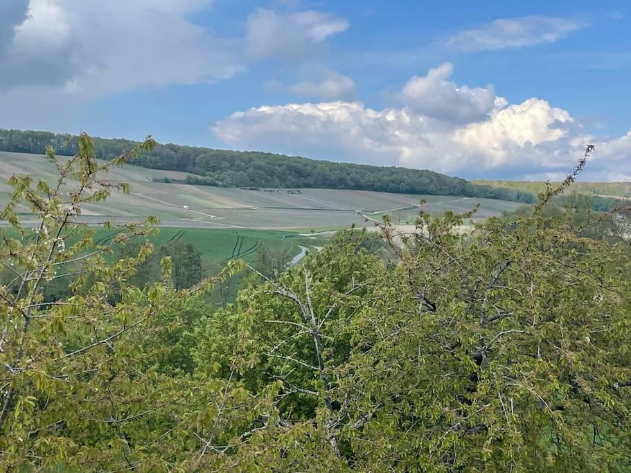 Maison D'Hotes Baslieux-sous-Châtillon Kültér fotó