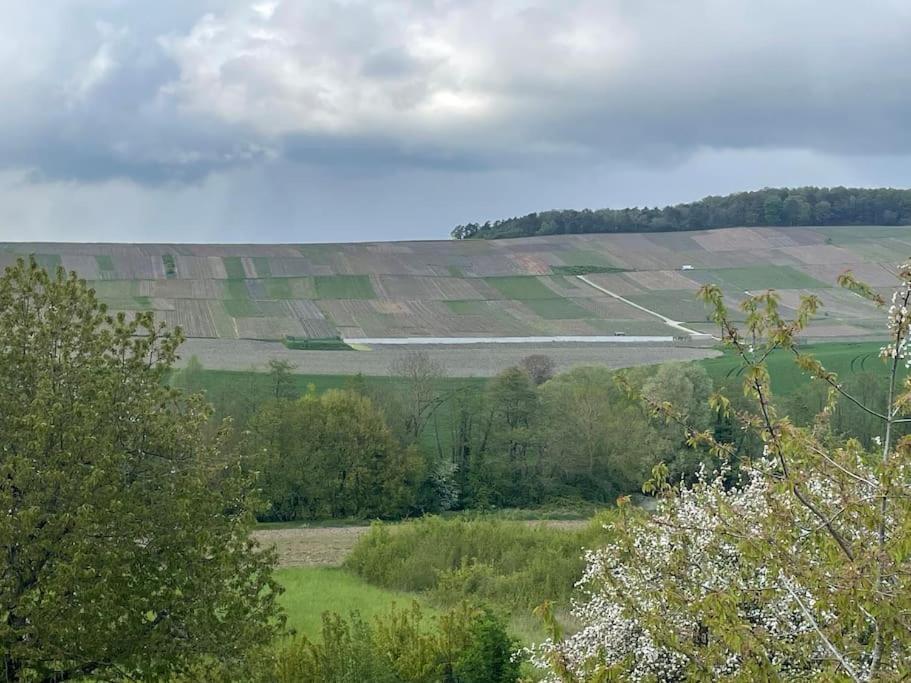 Maison D'Hotes Baslieux-sous-Châtillon Kültér fotó